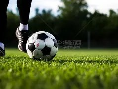 河南队力克,浙江队斥巨,资引援童磊,好博体育HaoBo官网,HaoBo好博娱乐,好博体育投注,好博体育平台,好博赛事直播,好博体育app下载